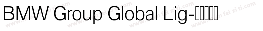 BMW Group Global Lig字体转换